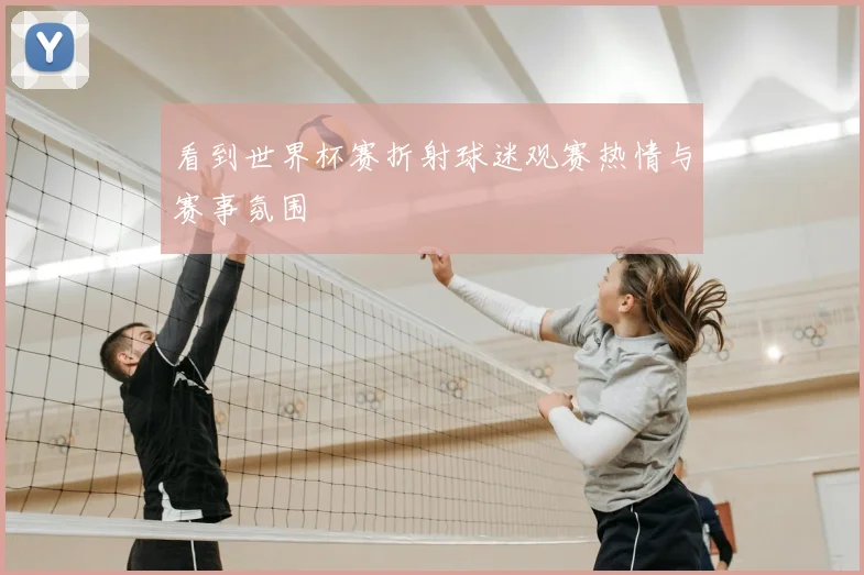 看到世界杯赛折射球迷观赛热情与赛事氛围