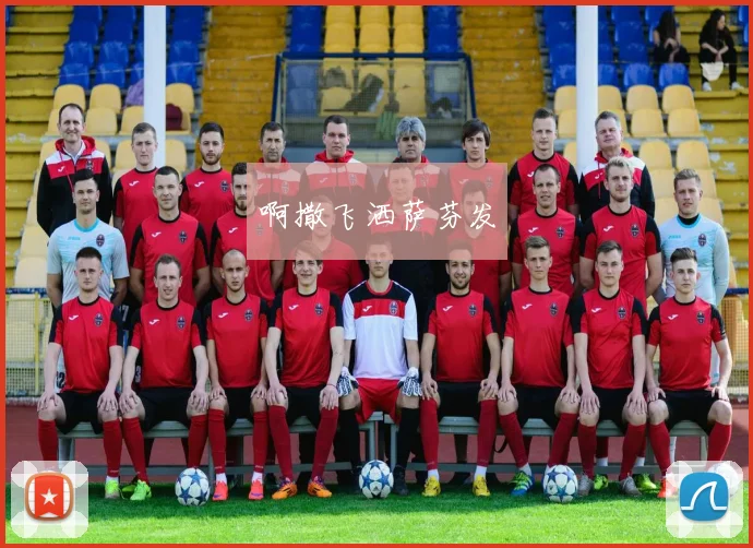 世界杯代理合法吗?深度解析行业风险与机遇