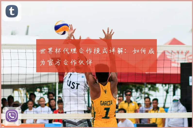 世界杯代理合作模式详解:如何成为官方合作伙伴