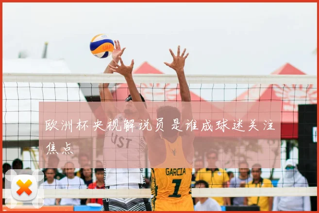 欧洲杯央视解说员是谁成球迷关注焦点
