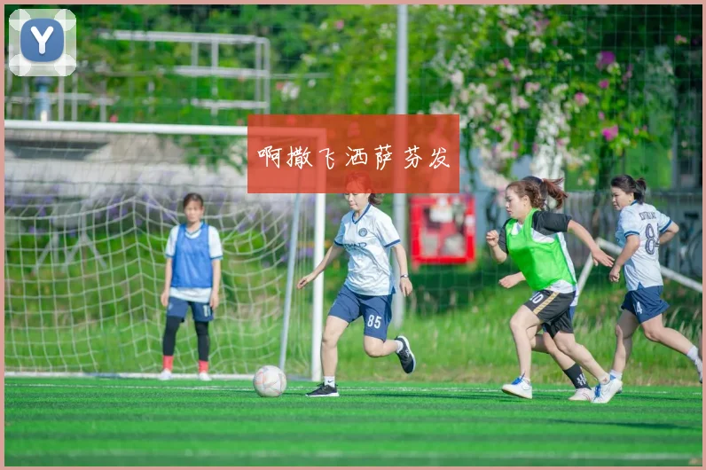 世界杯代理合法吗?深度解析行业风险与机遇