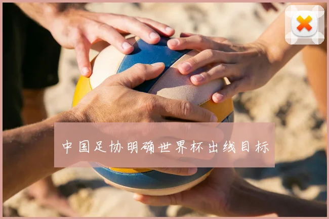 中国足协明确世界杯出线目标