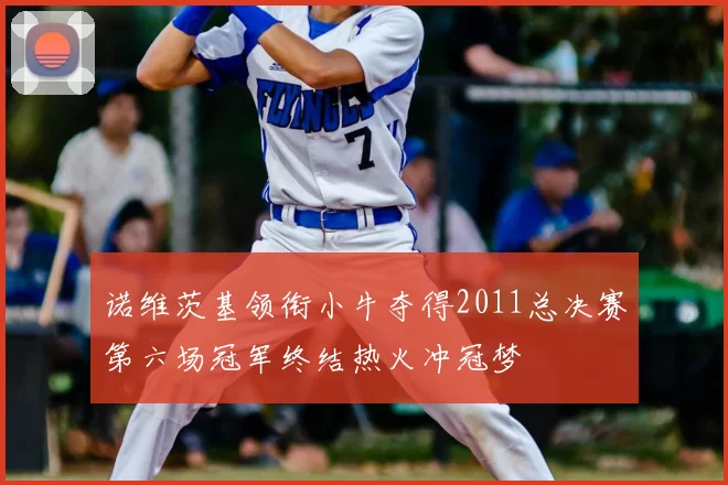 诺维茨基领衔小牛夺得2011总决赛第六场冠军终结热火冲冠梦