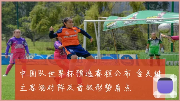 中国队世界杯预选赛程公布 含关键主客场对阵及晋级形势看点