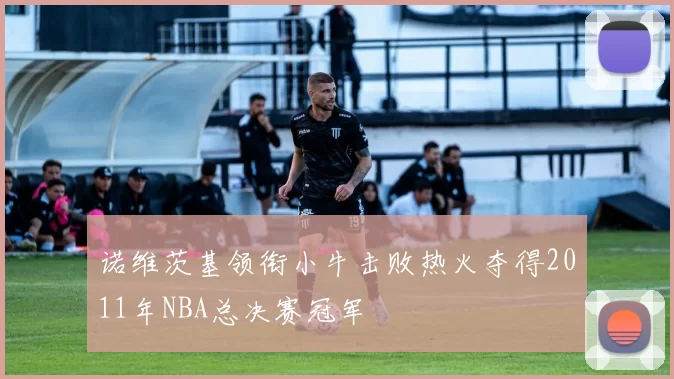 诺维茨基领衔小牛击败热火夺得2011年NBA总决赛冠军