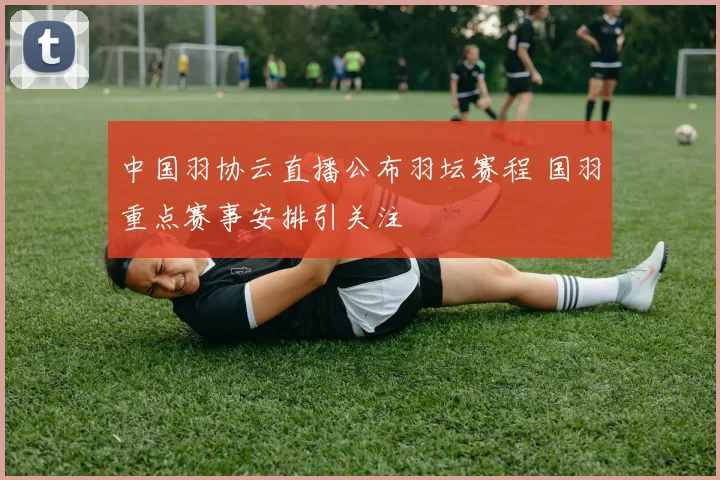 中国羽协云直播公布羽坛赛程 国羽重点赛事安排引关注