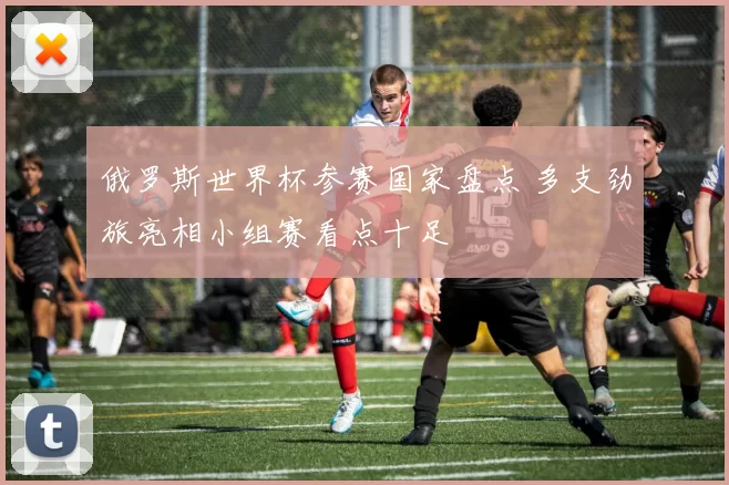 俄罗斯世界杯参赛国家盘点 多支劲旅亮相小组赛看点十足