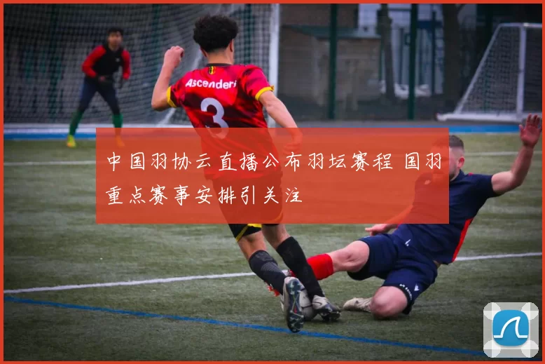 中国羽协云直播公布羽坛赛程 国羽重点赛事安排引关注