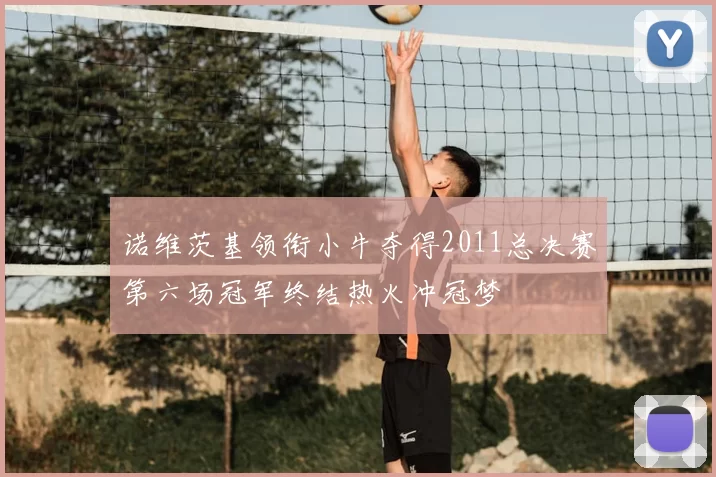 诺维茨基领衔小牛夺得2011总决赛第六场冠军终结热火冲冠梦